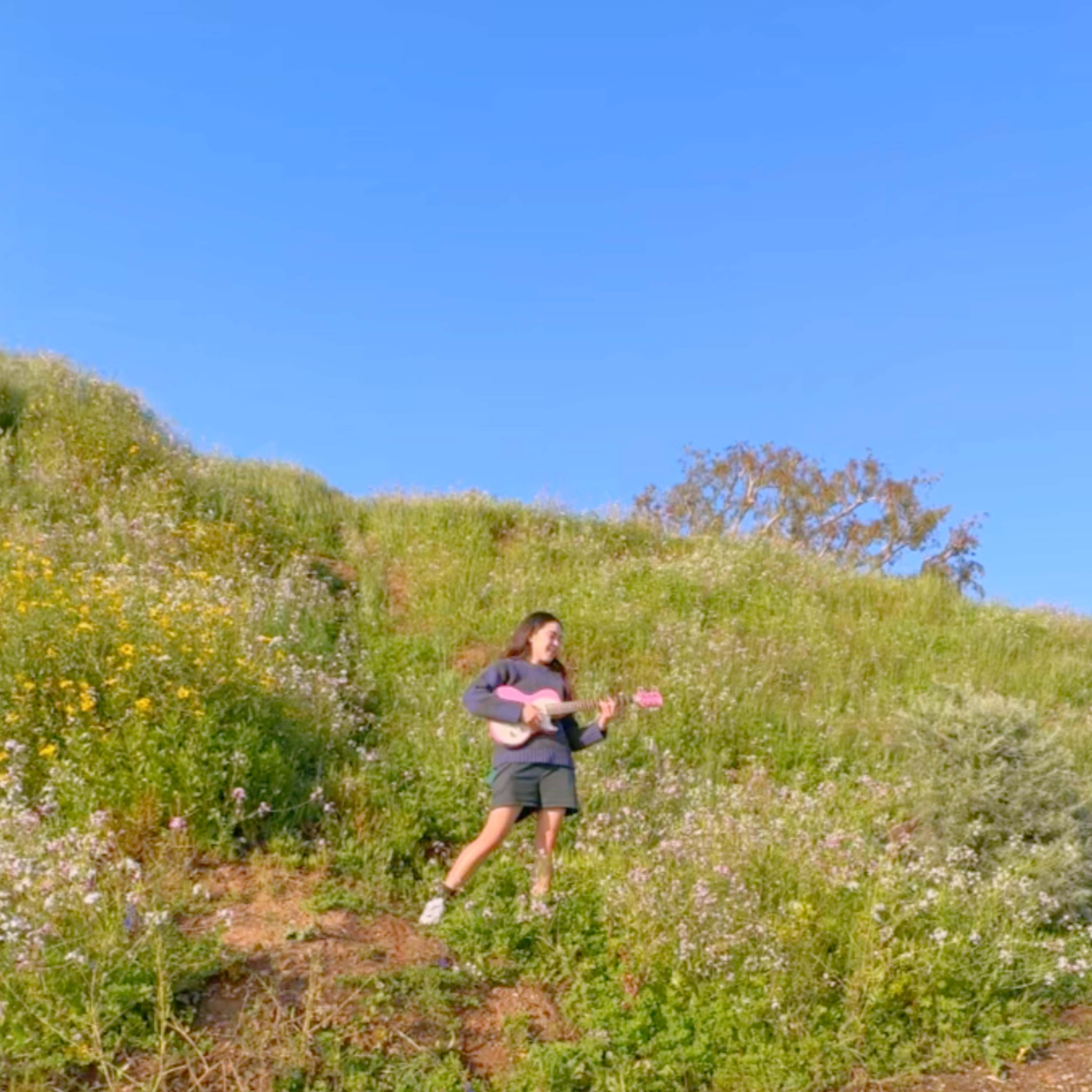 Girl with pink guitar standing on Palisades Bluffs, green with flowers and plants.